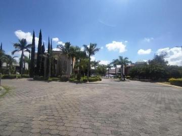 Hermoso terreno Colinas de Santa Anita