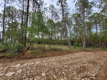 Hermoso terreno en boskania atemajac de brizuela