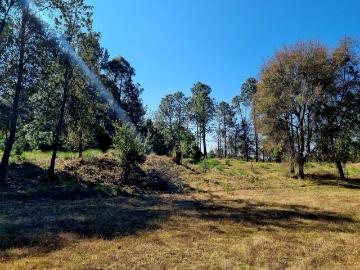 Hermoso Terreno en San Juan Amanalco