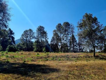 Hermoso Terreno en San Juan Amanalco