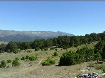 Hermoso terreno en Santa Anita del Peñasco muy cerca de Monterrey