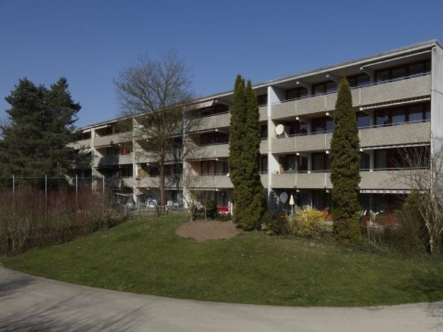 Herrlich grüne Umgebung