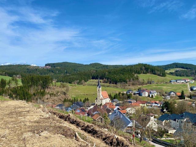 Herrlicher Baugrund mit Fernsicht in REICHENAU im Mühlkreis !