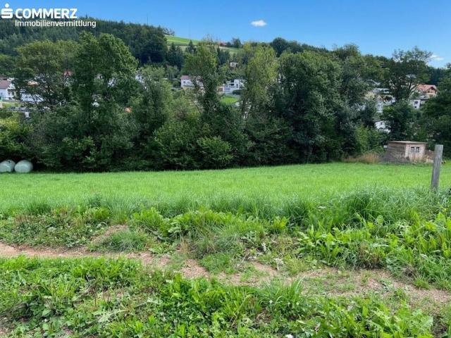Herrlicher Baugrund