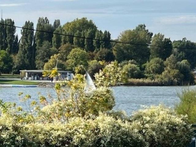 HERRLICHER BLICK AUF DIE ALTE DONAU