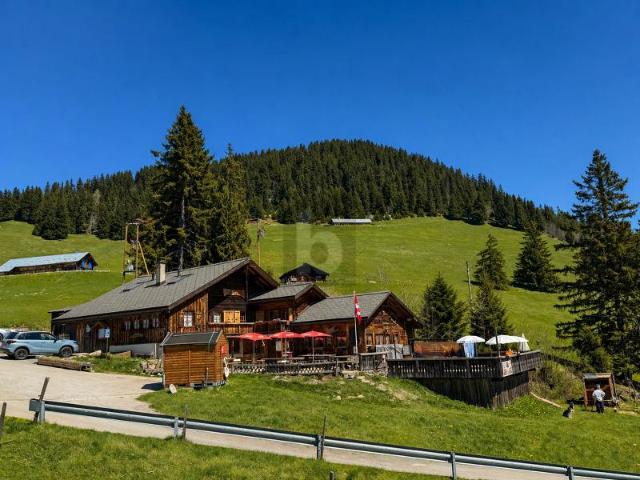 HERRLICHES CHALET RESTAURANT MIT APPARTEMENT