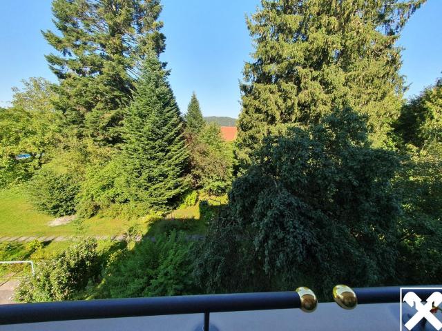 Herrschaftliche Villa mit Großem Grundstück und Altbaumbestand