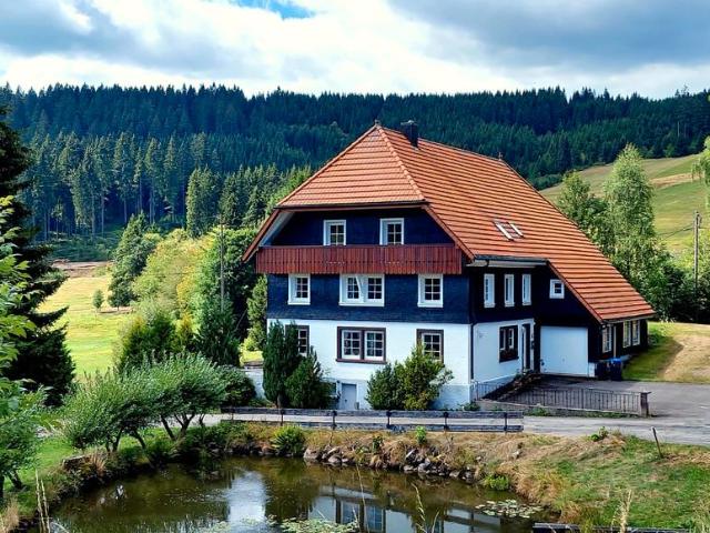 Herrschaftliches Schwarzwald Refugium am Schluchsee Von Privat!
