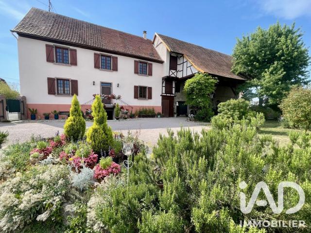 Hessenheim Vente Maison 67