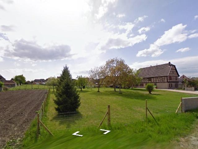 Hessenheim Vente Terrain 67