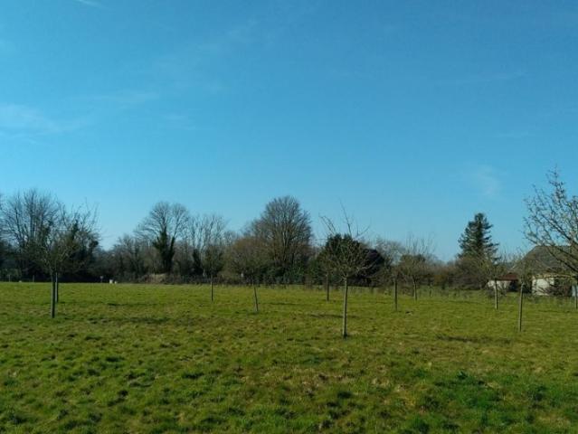 Heuland Vente Terrain 14