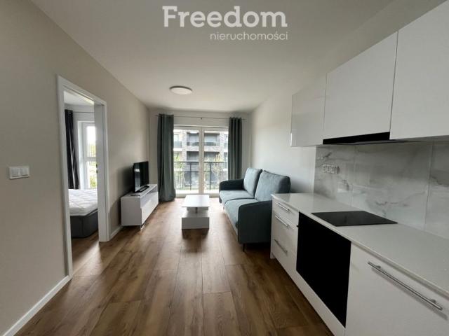 Jana Heweliusza 35,30 m², Toruń