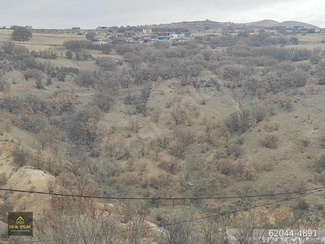 HİLAL'DEN KARAPÜRÇEKTE 2220 m2 KÖK TAPULU HİSSELİ BAĞ ARSASI