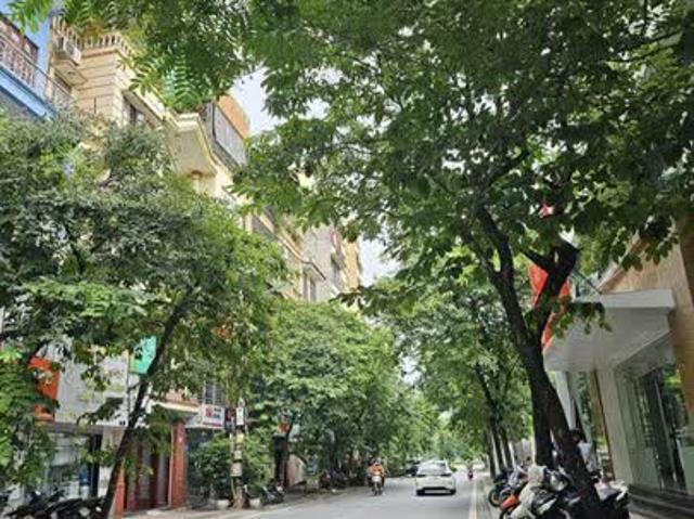 Hiếm Nhất Phân Lô Hoàng Cầu Thang Máy Nhập, Ô Tô Tránh. 75M X 6t. Giá 25 Tỷ