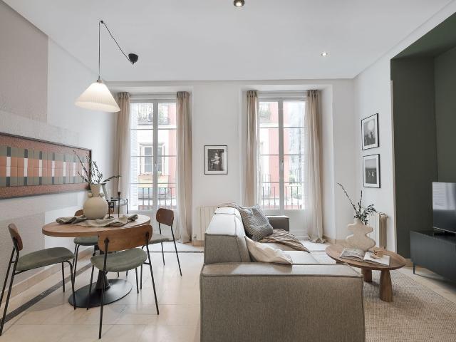 Himezakura 1 bedroom in Malasaña Universidad, Madrid Amsterdam Apartments for Rent