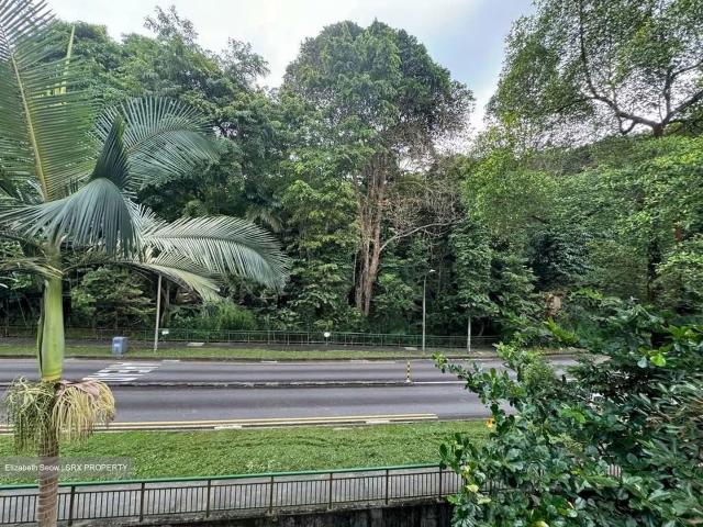 Hindhede Drive D21, Terrace