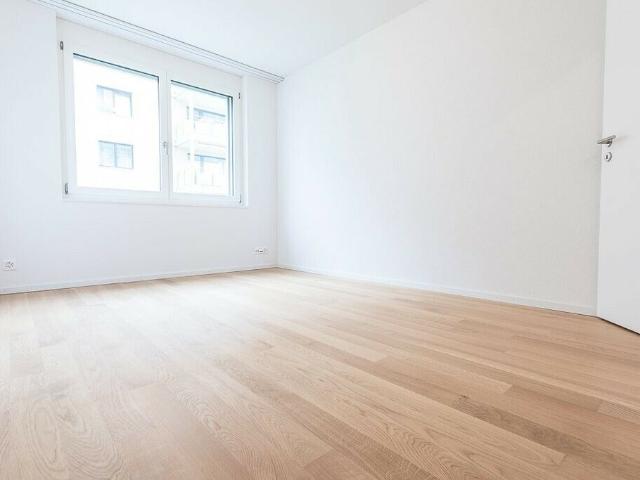 Hier blüht das Leben in Sursee! Dreamo. Ch