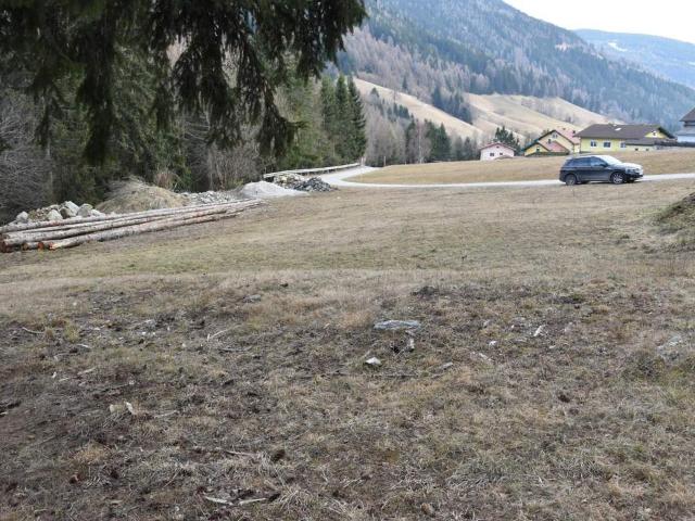 Hier planen und errichten wir unser gemeinsames Wohnhaus
