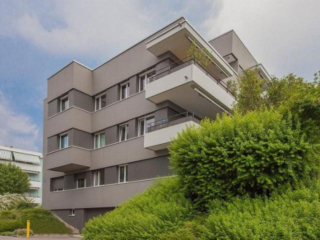 Hier wartet Ihr neues Zuhause