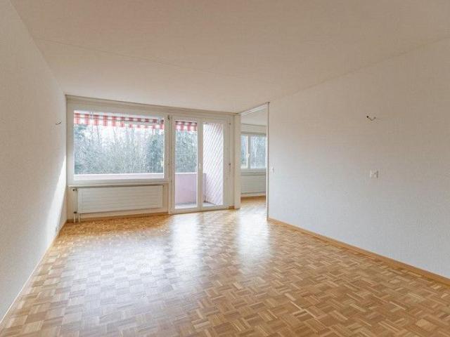 Hier wartet Ihr neues Zuhause