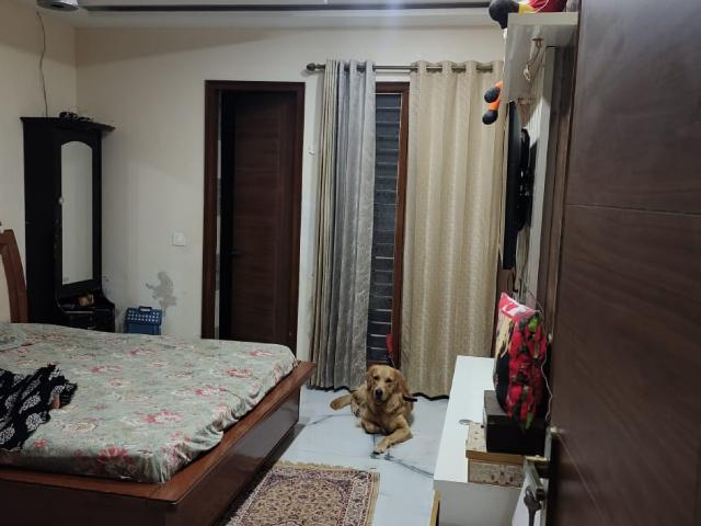 Hig Lower Sector 44 2 Bedroom 1100 Sq. Ft. Apartment in Sector 44 Chandigarh Listing ID: #9954