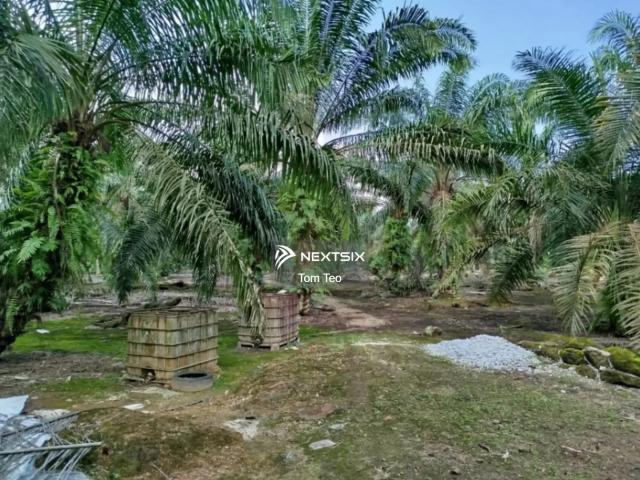 High Floor Seaview with 2 Carpark Fully Renovated Fully Furnished
