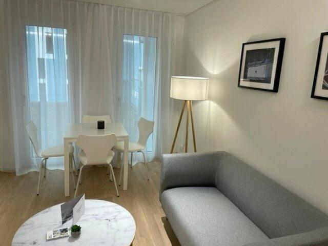 High quality furnished 2 room apartment
