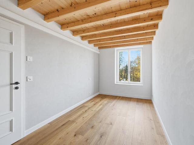 High standing apartment in Arzier