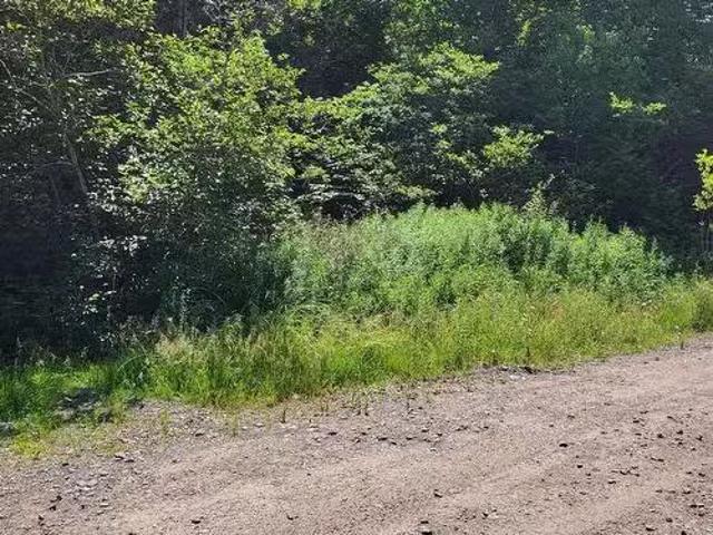 Highway 215 Urbania, Urbania, NS, B0H 2H0 vacant land for sa.