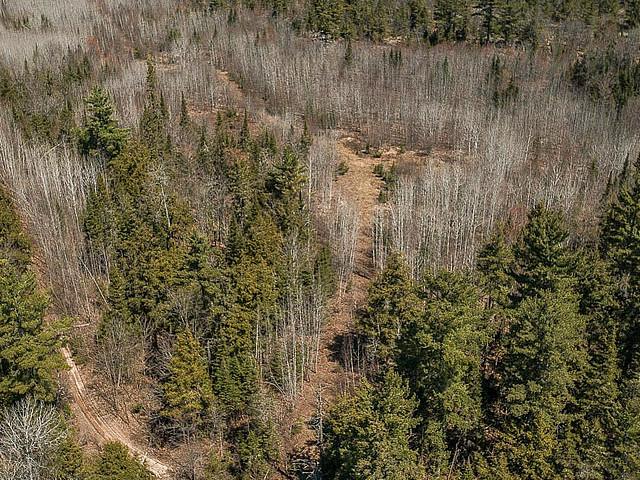 Highway 638 Near Mccarrel Lake Road, Echo Bay