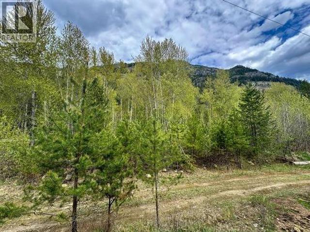 Highway 6 Lot# 2, Passmore, BC, V0G 2E0 vacant land for sale | Listing ID 10389 | Royal LePage