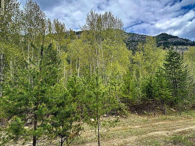 Highway 6 Lot# 4 Passmore, British Columbia