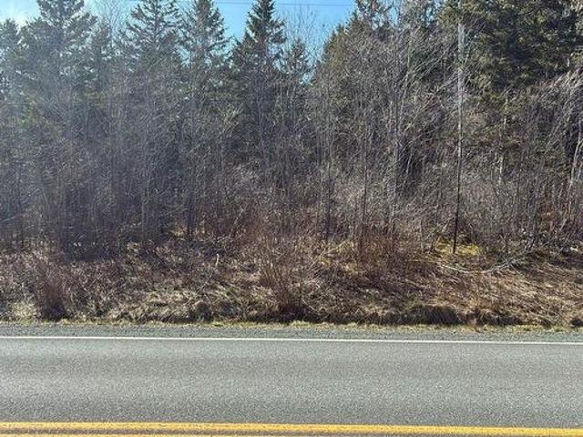 Highway#7, Ashdale, NS, B2G 2L3 vacant land for sale | Listing ID 202608 | Royal LePage