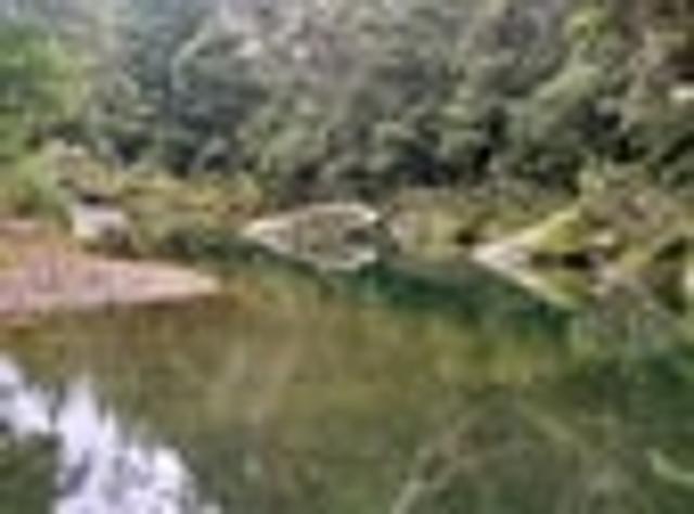 Hikuai, 4 bedrooms, $795 pw