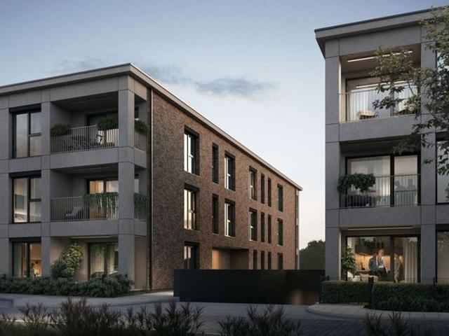 Hillence etap 2