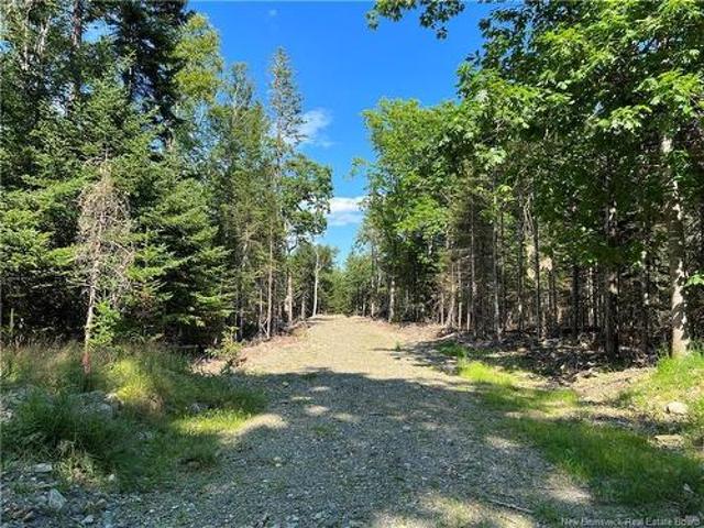 Hills Point Rd, Oak Bay, NB, E3L 4J6 vacant land for sale | Listing ID NB137743 | Royal LePage
