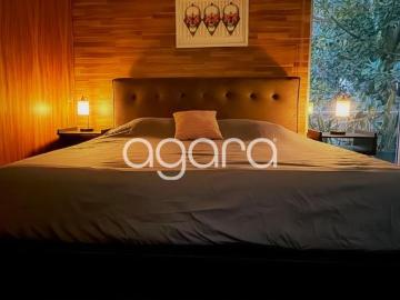 Hipodromo Condesa apartment