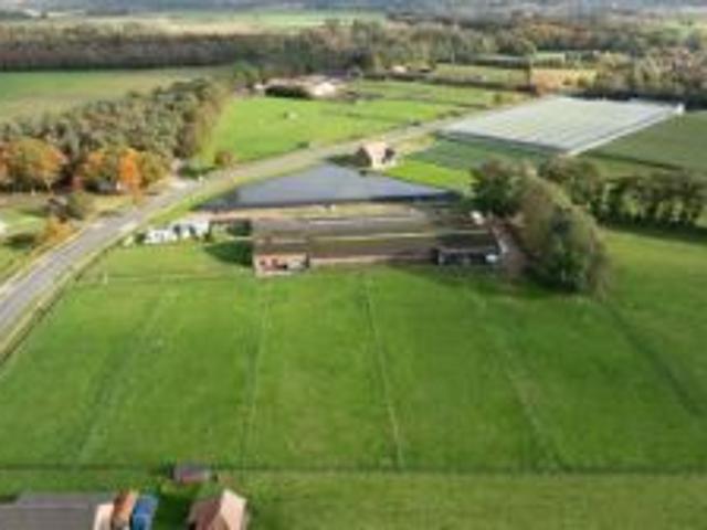 Hippische accommodatie te Hoogstraten op 1,8ha