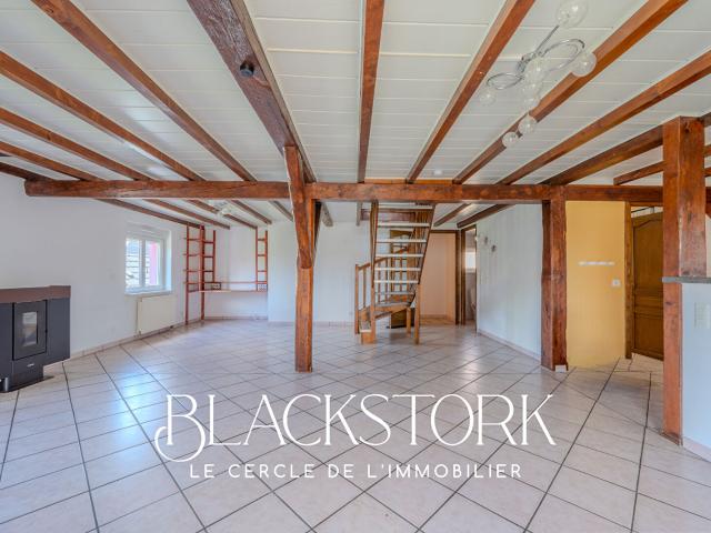 Hipsheim Vente Maison 67