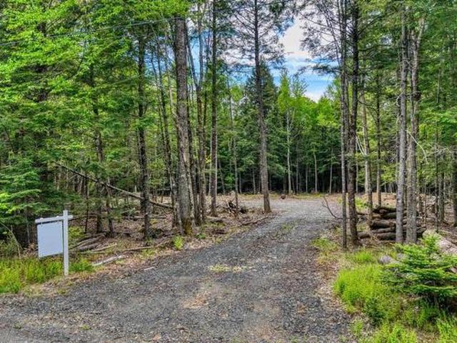 Lot 64C Hirtle Road, Maitland, NS, B0J 1E0 vacant land for sale | Listing ID 202605 | Royal LePage