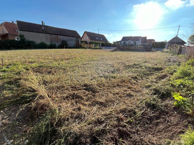 Hirtzfelden Vente Terrain 68