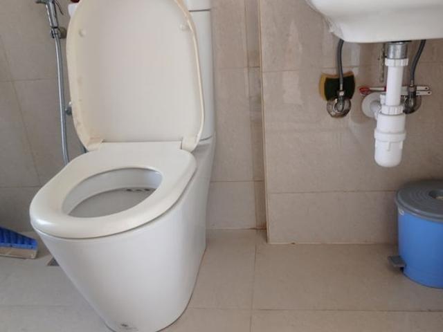Hiranandani Estate Solitaire C Studio 270 Sq. Ft. Apartment in Ghodbunder Road Thane Listing ID: #10384
