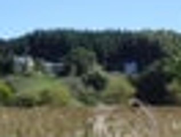 Historic Coastal Lifestyle Two homes on 25 acres