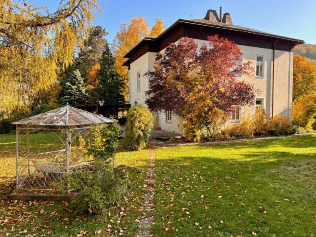Historische Villa – Erstbezug nach Kernsanierung: Lifteinbau, Luftwärmepumpe, Wohnungen maßgeschneidert u. V. m