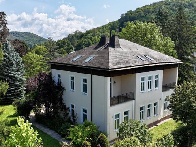 Historische Villa – Erstbezug nach Kernsanierung: Lifteinbau, Luftwärmepumpe, Wohnungen maßgeschneidert u. V. m