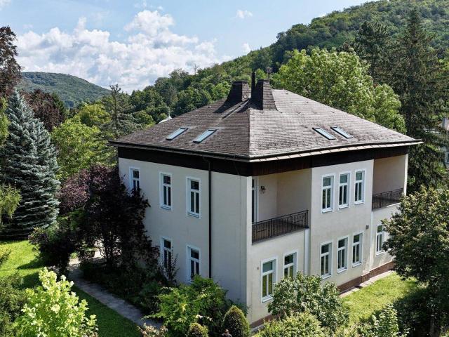 Historische Villa – Erstbezug nach Kernsanierung: Lifteinbau, Luftwärmepumpe, Wohnungen maßgeschneidert u. v. m