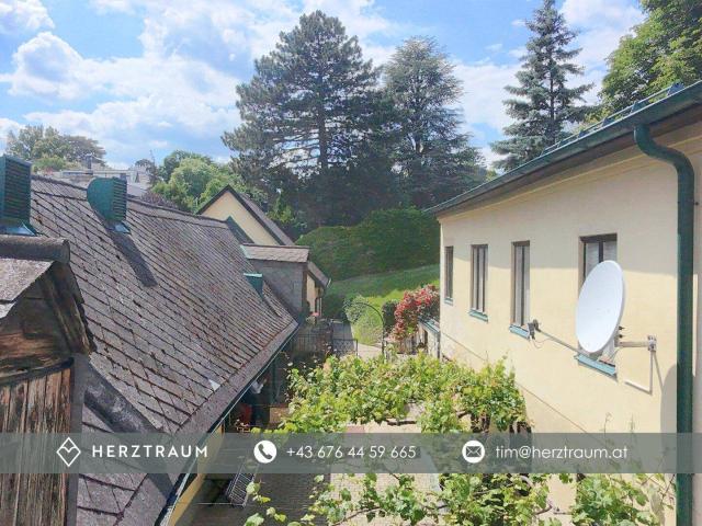Historische Streckhof mit Studie für Ausbauprojekt in 1190 Wien Provisionsfrei