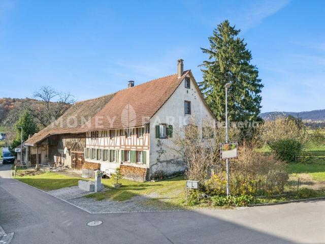 Historischer 6.5 Zimmer Bauernhof mit grossem Umschwung und viel Potenzial