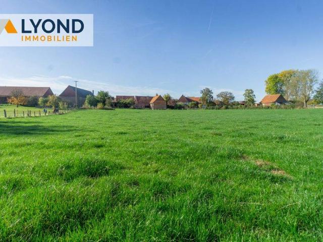 Historisches Bauernhaus mit Scheunen, Stallungen und Weidefläche in Diemelstadt Dehausen!