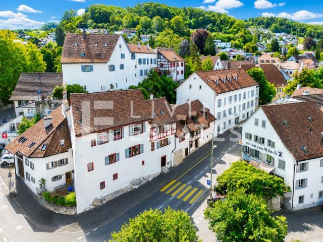 HISTORISCHES FLAIR. DREI EINHEITEN. VIELSEITIG NUTZBAR